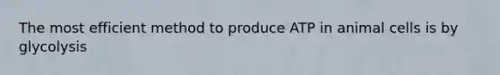 The most efficient method to produce ATP in animal cells is by glycolysis