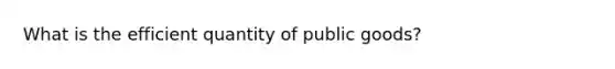 What is the efficient quantity of public goods?