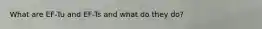 What are EF-Tu and EF-Ts and what do they do?