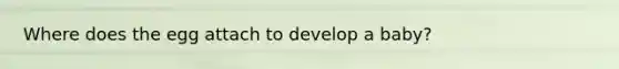 Where does the egg attach to develop a baby?