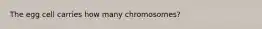 The egg cell carries how many chromosomes?