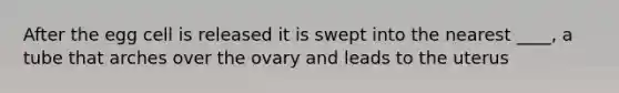 After the egg cell is released it is swept into the nearest ____, a tube that arches over the ovary and leads to the uterus