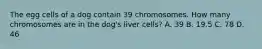 The egg cells of a dog contain 39 chromosomes. How many chromosomes are in the dog's liver cells? A. 39 B. 19.5 C. 78 D. 46