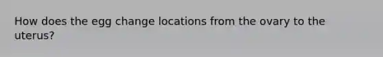 How does the egg change locations from the ovary to the uterus?