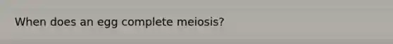 When does an egg complete meiosis?