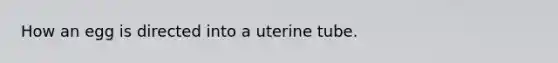 How an egg is directed into a uterine tube.