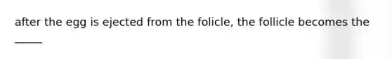 after the egg is ejected from the folicle, the follicle becomes the _____