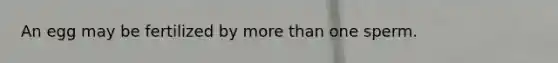 An egg may be fertilized by more than one sperm.