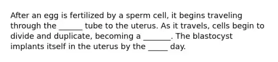 After an egg is fertilized by a sperm cell, it begins traveling through the ______ tube to the uterus. As it travels, cells begin to divide and duplicate, becoming a _______. The blastocyst implants itself in the uterus by the _____ day.