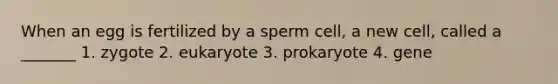 When an egg is fertilized by a sperm cell, a new cell, called a _______ 1. zygote 2. eukaryote 3. prokaryote 4. gene