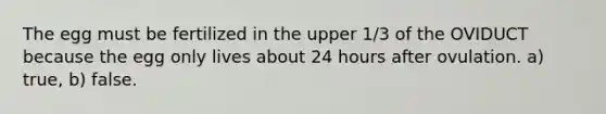 The egg must be fertilized in the upper 1/3 of the OVIDUCT because the egg only lives about 24 hours after ovulation. a) true, b) false.