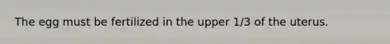 The egg must be fertilized in the upper 1/3 of the uterus.