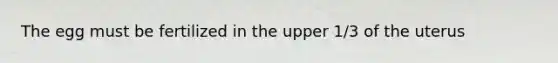 The egg must be fertilized in the upper 1/3 of the uterus