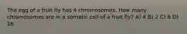 The egg of a fruit fly has 4 chromosomes. How many chromosomes are in a somatic cell of a fruit fly? A) 4 B) 2 C) 8 D) 16