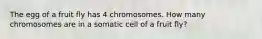 The egg of a fruit fly has 4 chromosomes. How many chromosomes are in a somatic cell of a fruit fly?