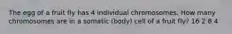 The egg of a fruit fly has 4 individual chromosomes. How many chromosomes are in a somatic (body) cell of a fruit fly? 16 2 8 4