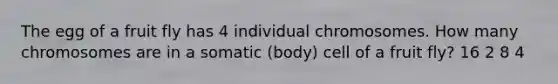The egg of a fruit fly has 4 individual chromosomes. How many chromosomes are in a somatic (body) cell of a fruit fly? 16 2 8 4