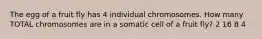 The egg of a fruit fly has 4 individual chromosomes. How many TOTAL chromosomes are in a somatic cell of a fruit fly? 2 16 8 4