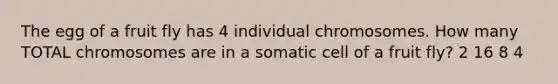 The egg of a fruit fly has 4 individual chromosomes. How many TOTAL chromosomes are in a somatic cell of a fruit fly? 2 16 8 4