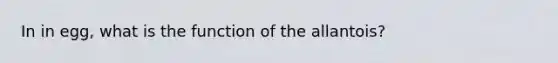 In in egg, what is the function of the allantois?