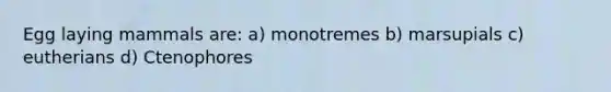 Egg laying mammals are: a) monotremes b) marsupials c) eutherians d) Ctenophores