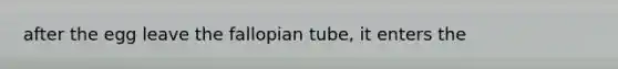 after the egg leave the fallopian tube, it enters the