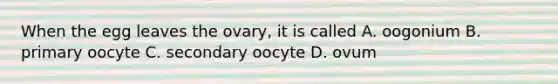 When the egg leaves the ovary, it is called A. oogonium B. primary oocyte C. secondary oocyte D. ovum