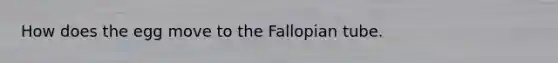 How does the egg move to the Fallopian tube.