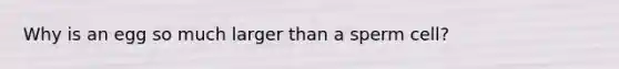 Why is an egg so much larger than a sperm cell?