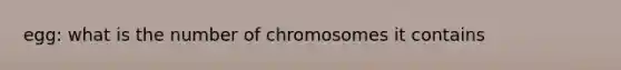 egg: what is the number of chromosomes it contains