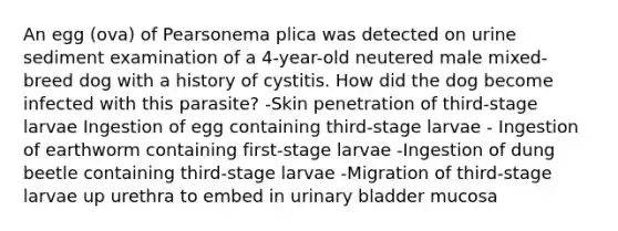 An egg (ova) of Pearsonema plica was detected on urine sediment examination of a 4-year-old neutered male mixed-breed dog with a history of cystitis. How did the dog become infected with this parasite? -Skin penetration of third-stage larvae Ingestion of egg containing third-stage larvae - Ingestion of earthworm containing first-stage larvae -Ingestion of dung beetle containing third-stage larvae -Migration of third-stage larvae up urethra to embed in urinary bladder mucosa