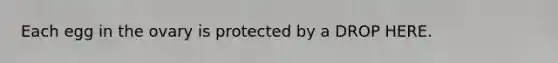 Each egg in the ovary is protected by a DROP HERE.