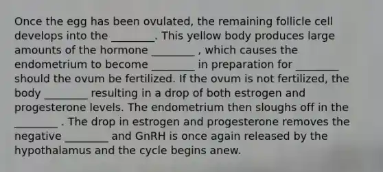 Once the egg has been ovulated, the remaining follicle cell develops into the ________. This yellow body produces large amounts of the hormone ________ , which causes the endometrium to become ________ in preparation for ________ should the ovum be fertilized. If the ovum is not fertilized, the body ________ resulting in a drop of both estrogen and progesterone levels. The endometrium then sloughs off in the ________ . The drop in estrogen and progesterone removes the negative ________ and GnRH is once again released by the hypothalamus and the cycle begins anew.