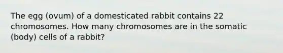 The egg (ovum) of a domesticated rabbit contains 22 chromosomes. How many chromosomes are in the somatic (body) cells of a rabbit?