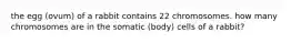 the egg (ovum) of a rabbit contains 22 chromosomes. how many chromosomes are in the somatic (body) cells of a rabbit?