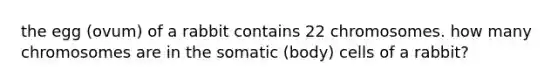 the egg (ovum) of a rabbit contains 22 chromosomes. how many chromosomes are in the somatic (body) cells of a rabbit?