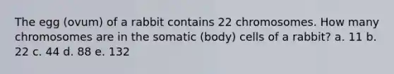 The egg (ovum) of a rabbit contains 22 chromosomes. How many chromosomes are in the somatic (body) cells of a rabbit? a. 11 b. 22 c. 44 d. 88 e. 132