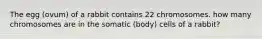 The egg (ovum) of a rabbit contains 22 chromosomes. how many chromosomes are in the somatic (body) cells of a rabbit?