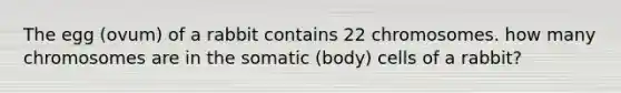 The egg (ovum) of a rabbit contains 22 chromosomes. how many chromosomes are in the somatic (body) cells of a rabbit?