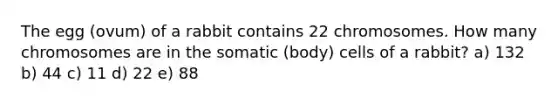 The egg (ovum) of a rabbit contains 22 chromosomes. How many chromosomes are in the somatic (body) cells of a rabbit? a) 132 b) 44 c) 11 d) 22 e) 88