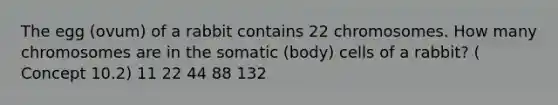 The egg (ovum) of a rabbit contains 22 chromosomes. How many chromosomes are in the somatic (body) cells of a rabbit? ( Concept 10.2) 11 22 44 88 132