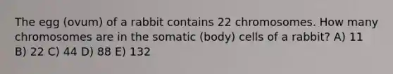 The egg (ovum) of a rabbit contains 22 chromosomes. How many chromosomes are in the somatic (body) cells of a rabbit? A) 11 B) 22 C) 44 D) 88 E) 132