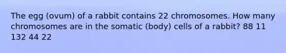 The egg (ovum) of a rabbit contains 22 chromosomes. How many chromosomes are in the somatic (body) cells of a rabbit? 88 11 132 44 22