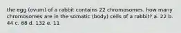 the egg (ovum) of a rabbit contains 22 chromosomes. how many chromosomes are in the somatic (body) cells of a rabbit? a. 22 b. 44 c. 88 d. 132 e. 11