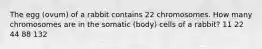 The egg (ovum) of a rabbit contains 22 chromosomes. How many chromosomes are in the somatic (body) cells of a rabbit? 11 22 44 88 132