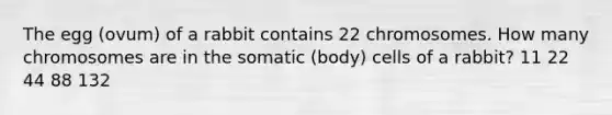 The egg (ovum) of a rabbit contains 22 chromosomes. How many chromosomes are in the somatic (body) cells of a rabbit? 11 22 44 88 132