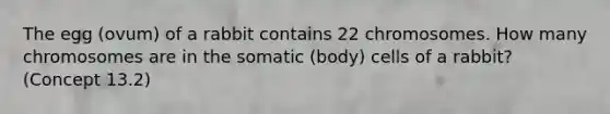 The egg (ovum) of a rabbit contains 22 chromosomes. How many chromosomes are in the somatic (body) cells of a rabbit? (Concept 13.2)