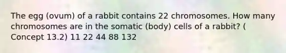 The egg (ovum) of a rabbit contains 22 chromosomes. How many chromosomes are in the somatic (body) cells of a rabbit? ( Concept 13.2) 11 22 44 88 132