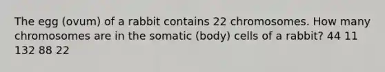 The egg (ovum) of a rabbit contains 22 chromosomes. How many chromosomes are in the somatic (body) cells of a rabbit? 44 11 132 88 22