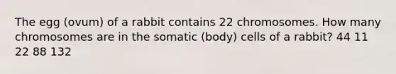 The egg (ovum) of a rabbit contains 22 chromosomes. How many chromosomes are in the somatic (body) cells of a rabbit? 44 11 22 88 132